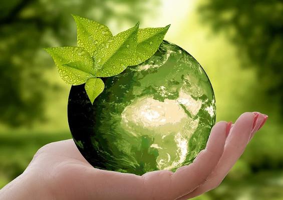 Sites internet eco responsables (08/10/2021) 